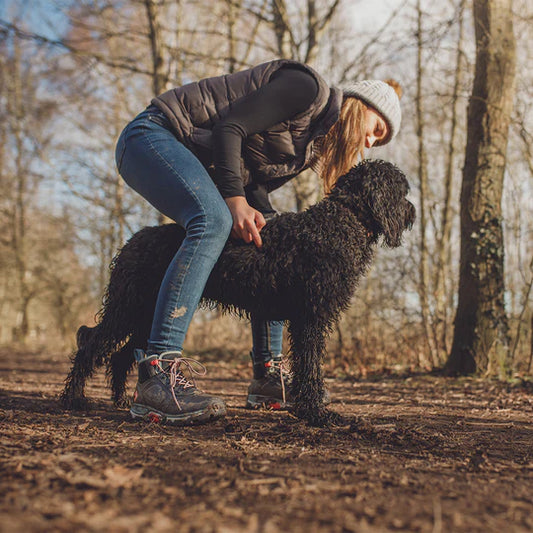 Which Boots For Dog Walking?